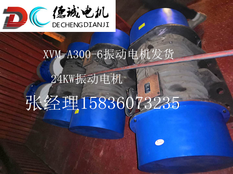 XVM-A300-6C振動電機.jpg XVM-A300-6C振動電機.jpg